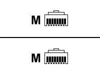 HP 4.3m/14ft CAT5 RJ45 M/M Ethernet Cabl