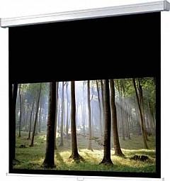 WS-P-ProCinema-Rollo 16:9 168x95cm BE/BL 1,0 Gain / Mattweiss